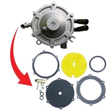 KIT REVISIONE per Landi Renzo