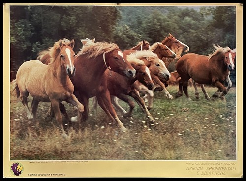 1990ca manifesto poster - *,