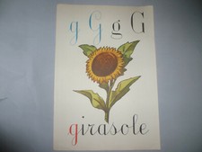 Abecedario a Parete VINTAGE SCUOLA Elementare lettera G girasole