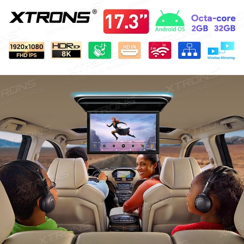 Lettore lcd tetto - tv, 17,3"