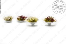 Romana Modelli 50126 set di 4