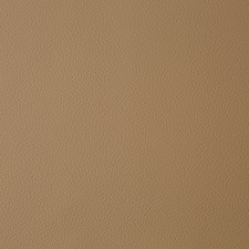 Ecopelle BEIGE Mercedes