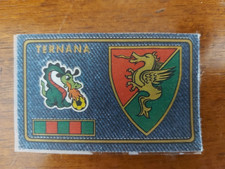 CALCIATORI PANINI 1978/79 - TERNANA - SCUDETTO TELATO RECUPERATO DA ALBUM (4470)