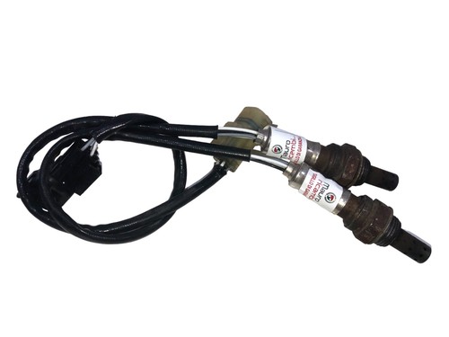 Sonde lambda honda - 600, rr
