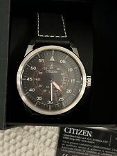 Citizen Eco-Drive AW1360-04E Aviator 