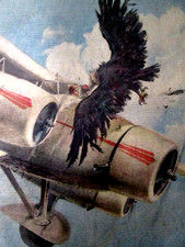 REGIA AEREONAUTICA)INCIDENTE