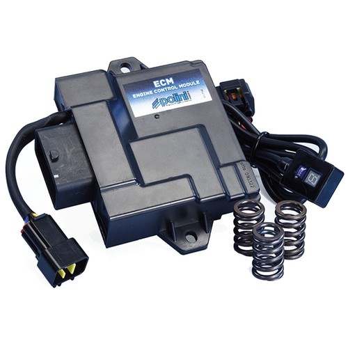 Centralina elettronica ecm - elettronica,