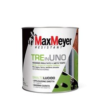 MAXMEYER SMALTO 3IN1 LUCIDO