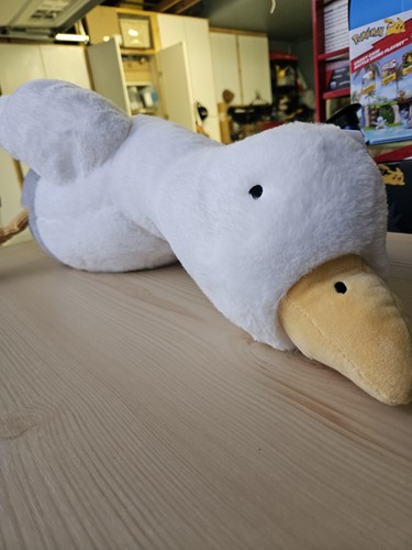 Peluche target hollister - hollister, sam