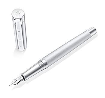 Penna stilografica staedtler - penna,
