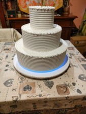 Torta Finta per occasioni speciali e Foto