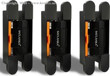 Cerniera idraulica per gnocchi