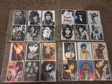 Siouxsie Sioux and the