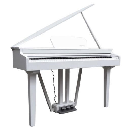 Echord gp10w pianoforte - gp10w,