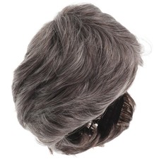  Parrucca grigia da uomo