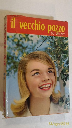 Vecchio pozzo veuzit - pozzo,