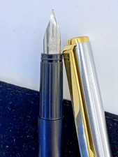 Penna stilografica Caran