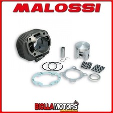 3113067 gruppo termico - gruppo, malossi