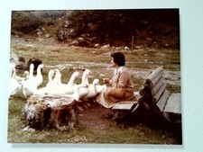Donna seduta sul - donna,