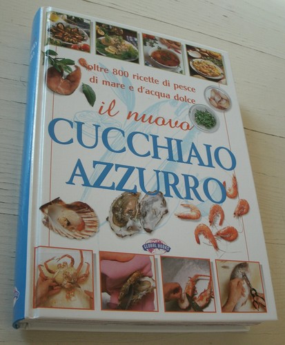 Nuovo cucchiaio azzurro - nuovo,