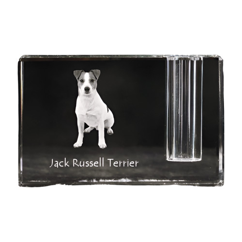 Jack russell terrier - russell,