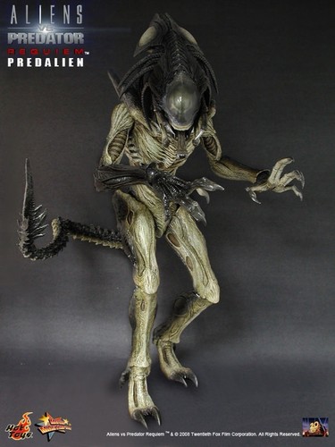 Ultra rare hot - hot, predalien