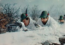 6410) ALPINI IN MIMETICA