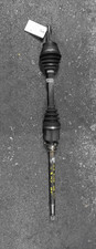 51816765 Semialbero ant