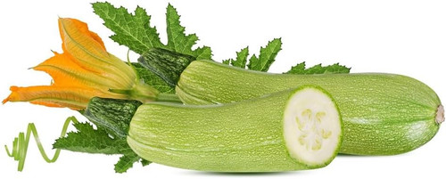 Semi zucchine genovesi - zucchine, in