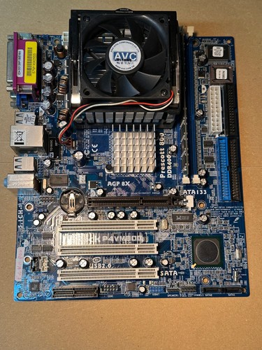 Scheda madre asrock p4vm800 - madre,