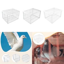 Trappola per uccelli