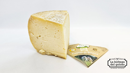 Furmai bianca modenese - di,