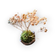 Mini Kokedama Artigianale con Fiori Secchi Zen muschio Stabilizzato