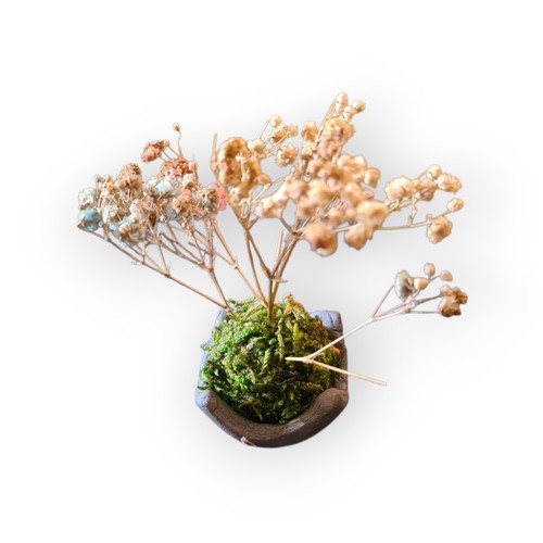Mini kokedama artigianale con - kokedama,
