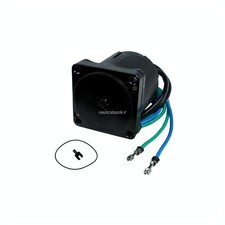Motorino Trim regolazione