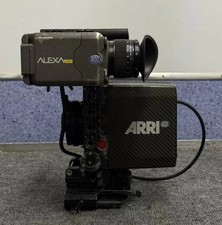 Ornamento cavalluccio marino