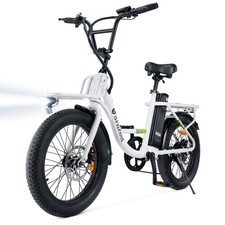 500W 20*3“ Fat Tires Cargo