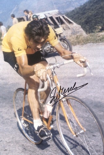 Eddy merckx foto originale - merckx,