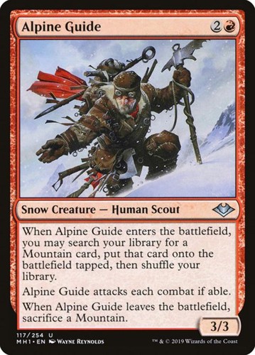 Alpine guide - guide, (117)