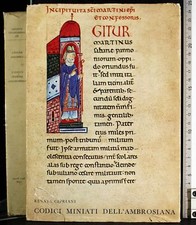 CODICI MINATI DELL'AMBROSIANA
