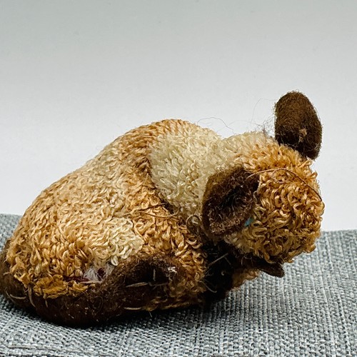 Antica spilla gatto - , siamese