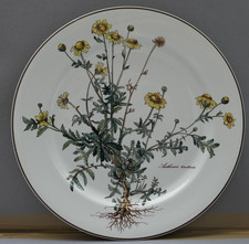 Villeroy boch botanica 1 di - &,