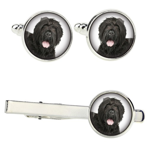 Set terrier nero russo - terrier,