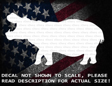 Adesivo decalcomania vinile