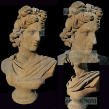 Grande busto Apollo in vera pietra scolpita anticata antica cm 70 arredo marmo