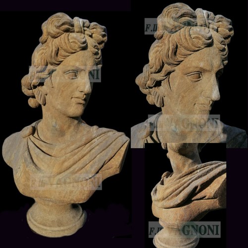 Grande busto apollo - grande, vera