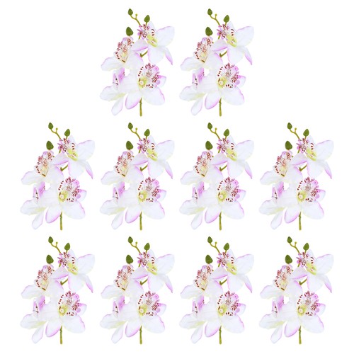 Pezzi pollici orchidea - pezzi, 7