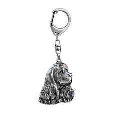 Cocker Spaniel Americano -