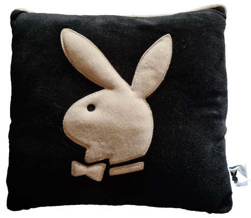 Coussin oreiller - coussin, /