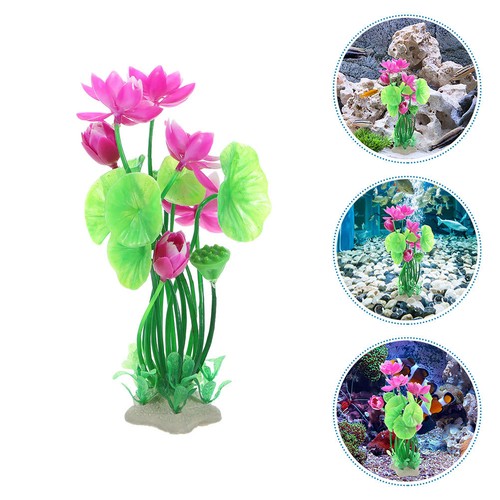 Pcs piante acquario - 2,